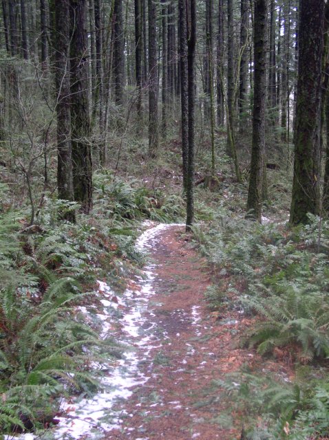 12.23.05 Elowah Falls 011 